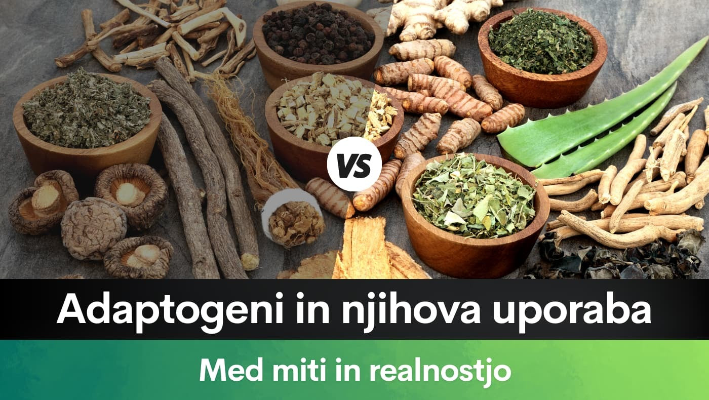 Adaptogeni in njihova uporaba – Med miti in realnostjo