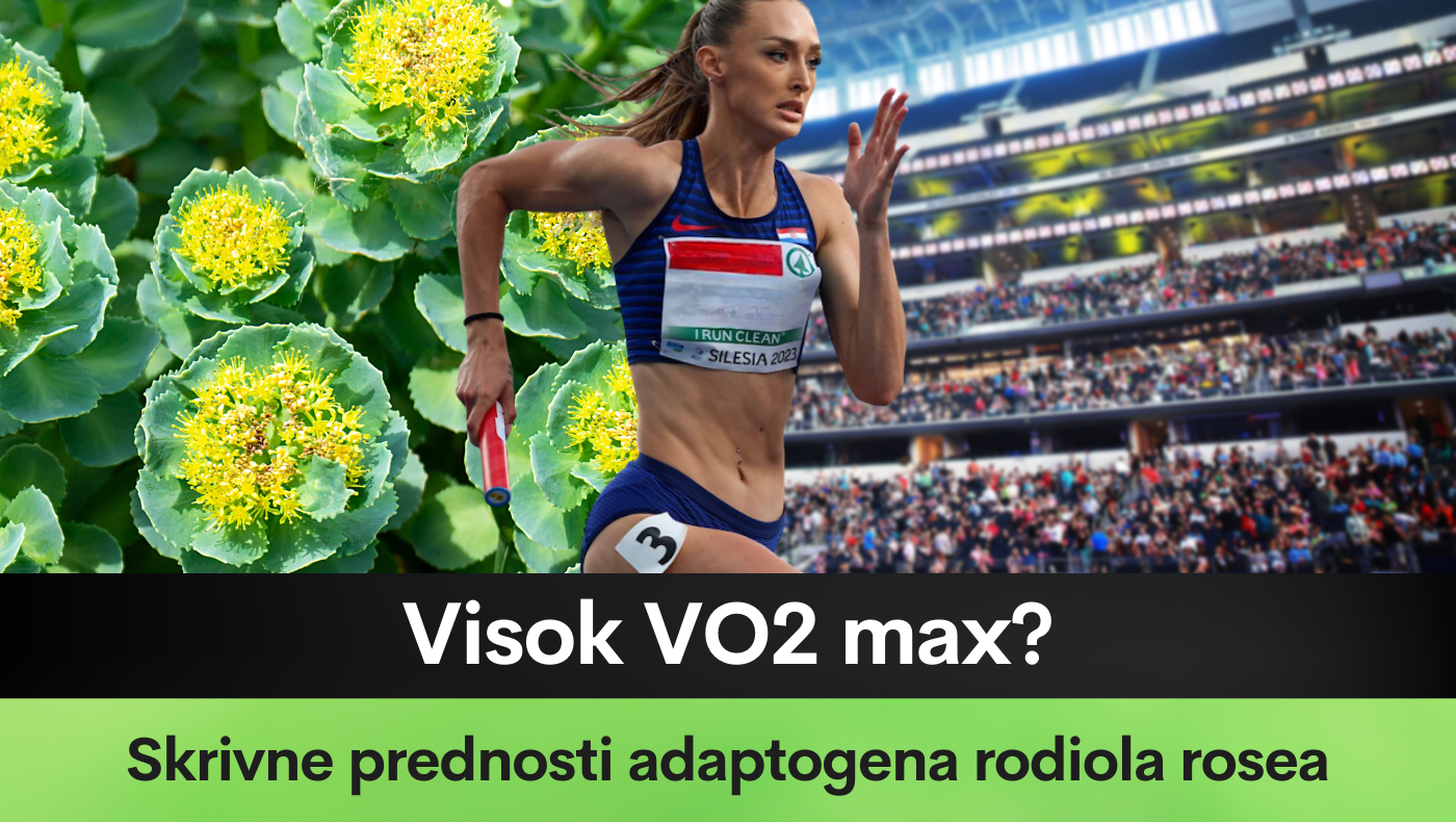 Visok VO2 max? Skrivne prednosti adaptogena rodiola rosea